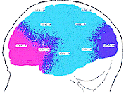 Brain Scan 4 AFTER 8 SESSIONS